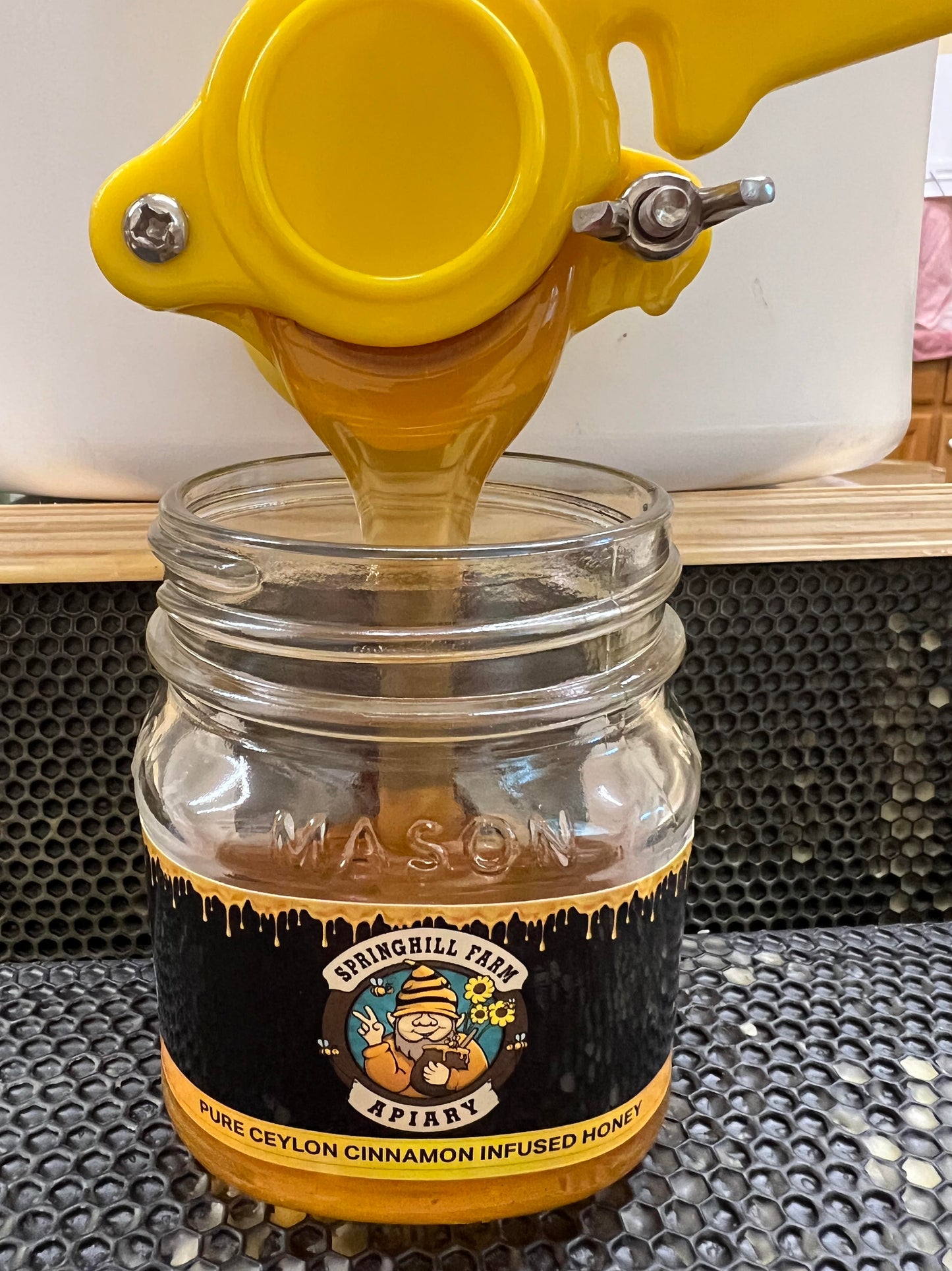 Honey Natural Ceylon Cinnamon Infused Honey (approximately 16 oz)