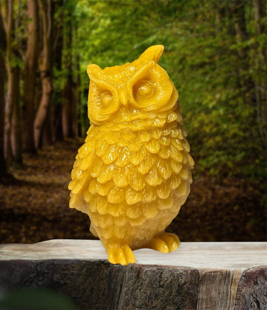 Large Owl