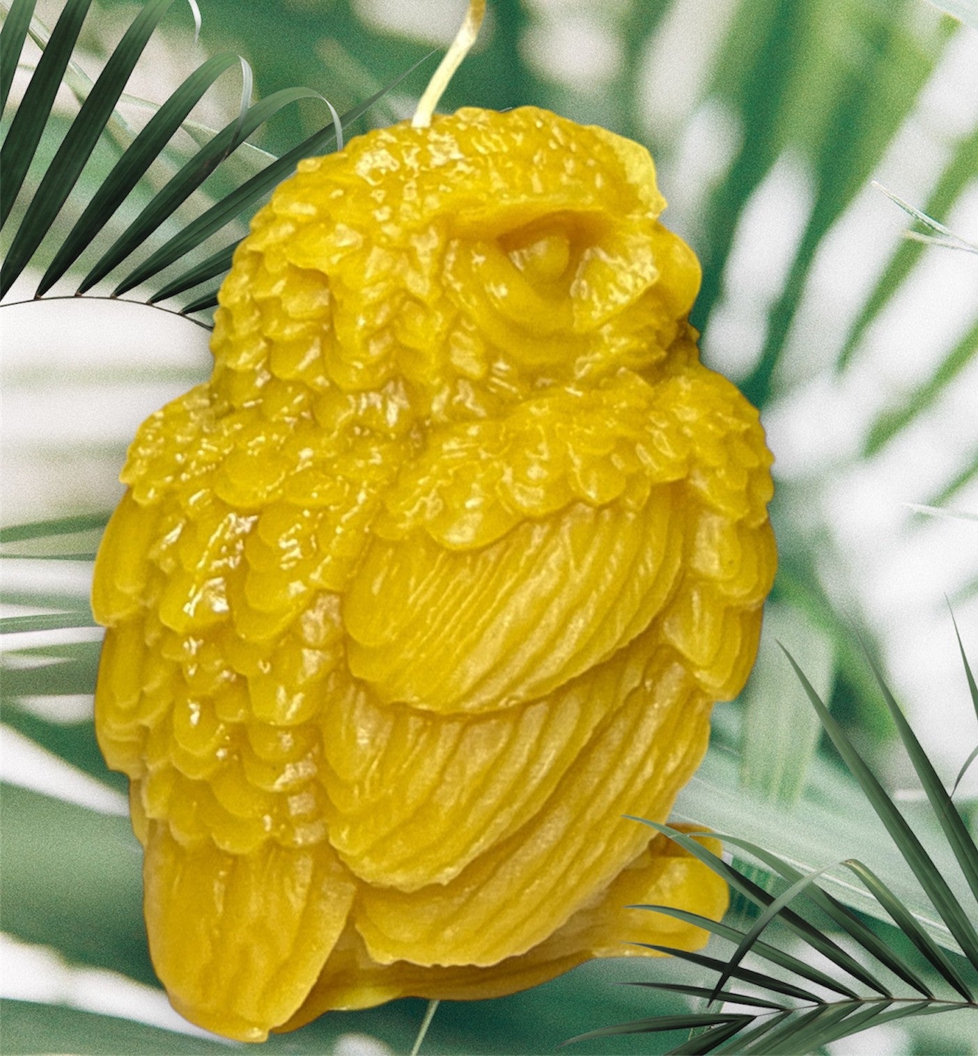 Medium Owl
