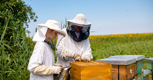 Common Beekeeping Mistakes and How to Avoid Them