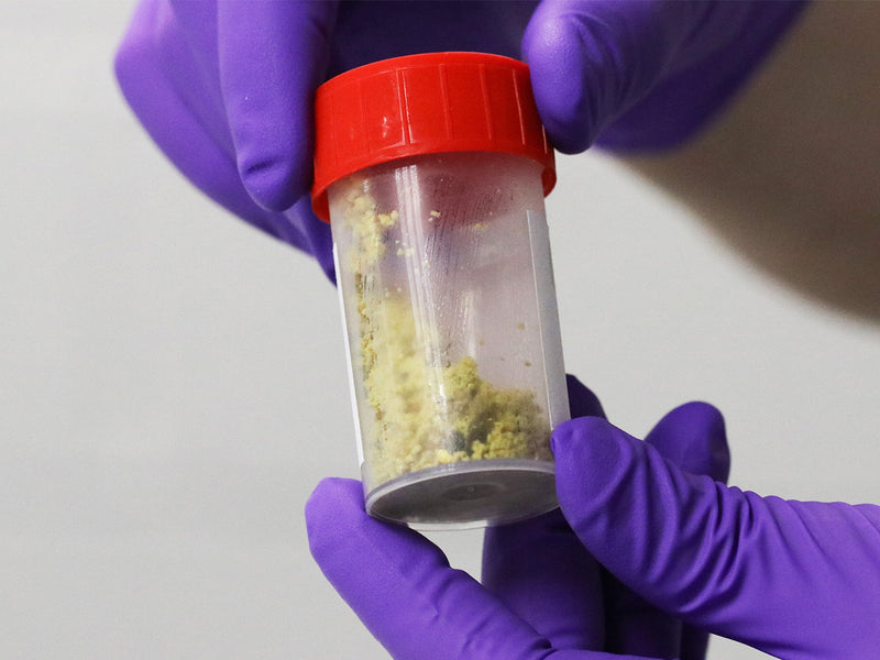 Interesting artical about how we can use HoneyBees to help track pollution!!!