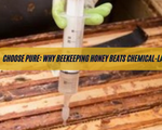 Why Chemical-Laden Honey Can Harm Your Health and How Beekeeping Honey is the Best Choice