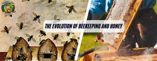The Evolution of Beekeeping and Honey