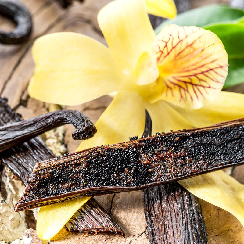 Therapeutic Benefits of Vanilla