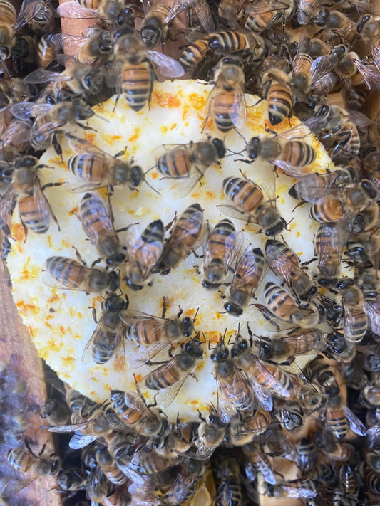 Bee supplement - Apitabet packet of 10 all-natural food supplement for Bees