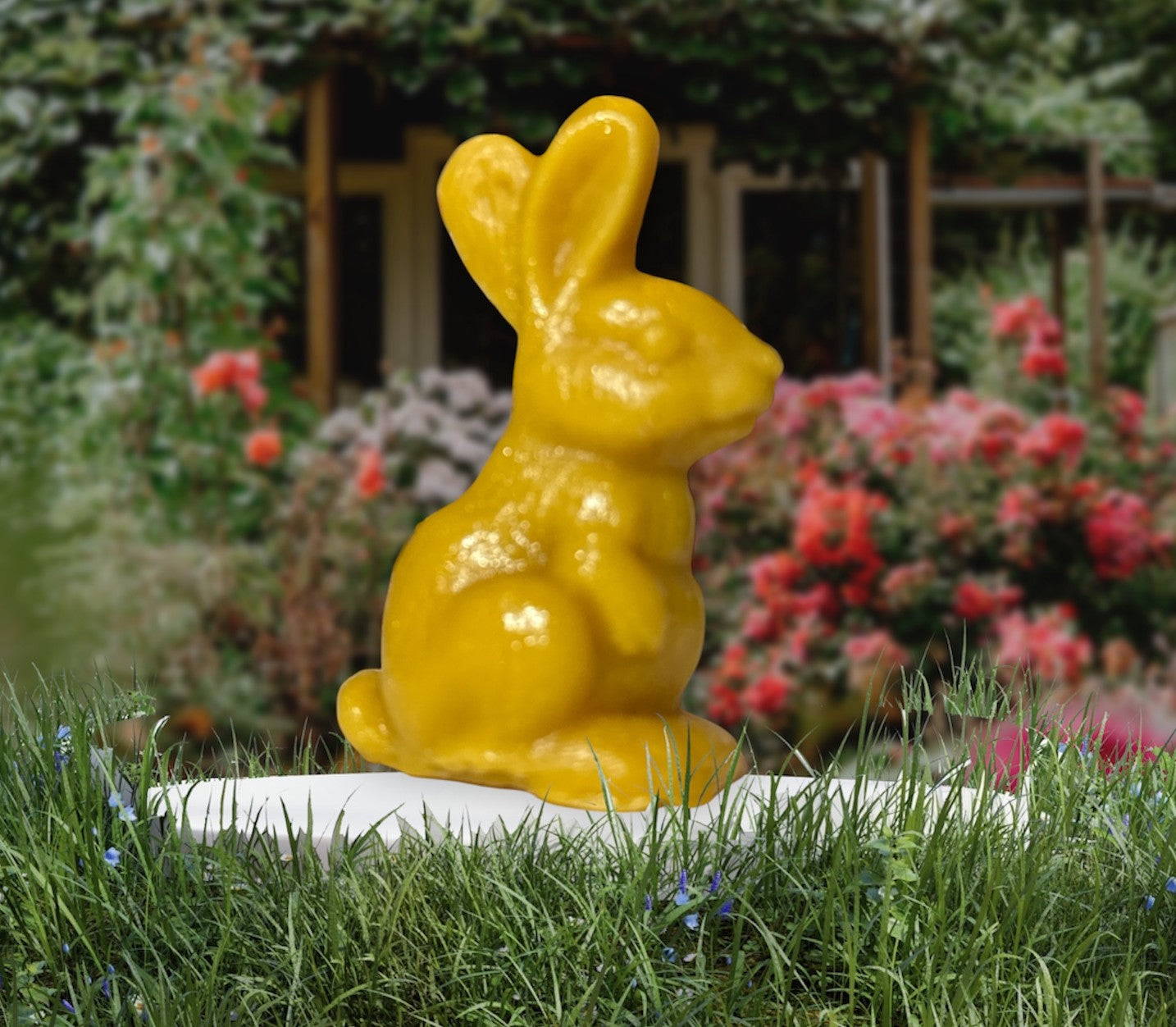 Bunny