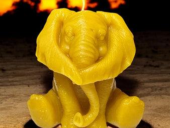 Elephant Hear No Evil