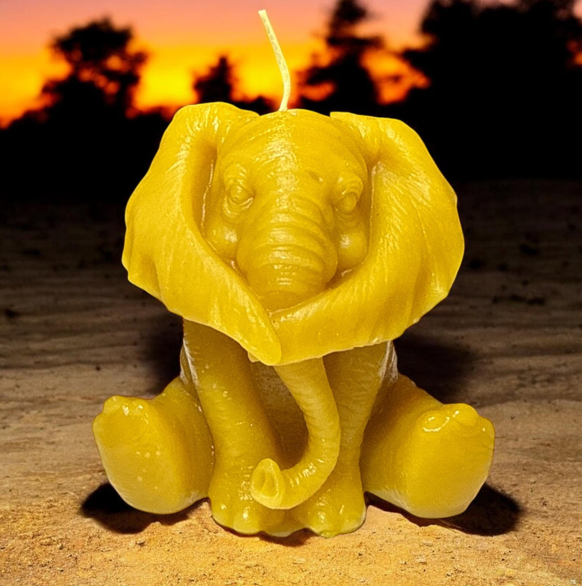 Elephant Hear No Evil