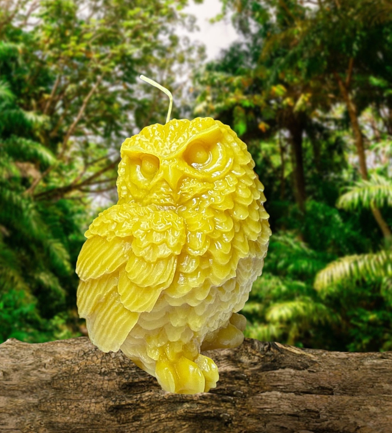 Medium Owl