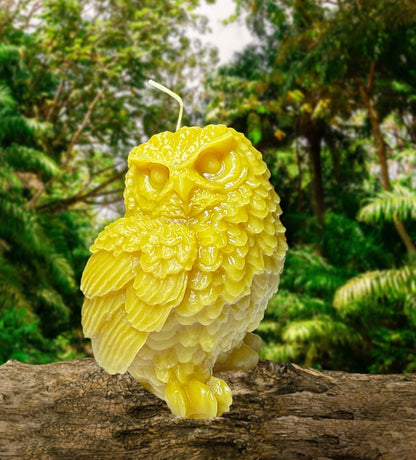 Medium Owl