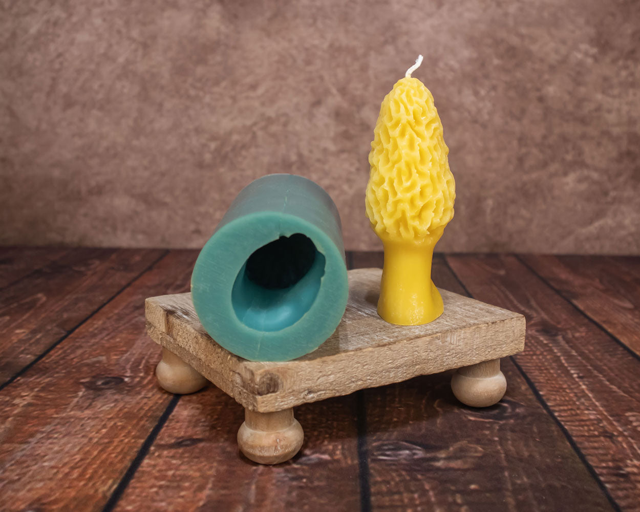 Morel Mushroom Mold