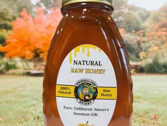 Natural Honey (Pint or approximately 1.25 pounds of honey)