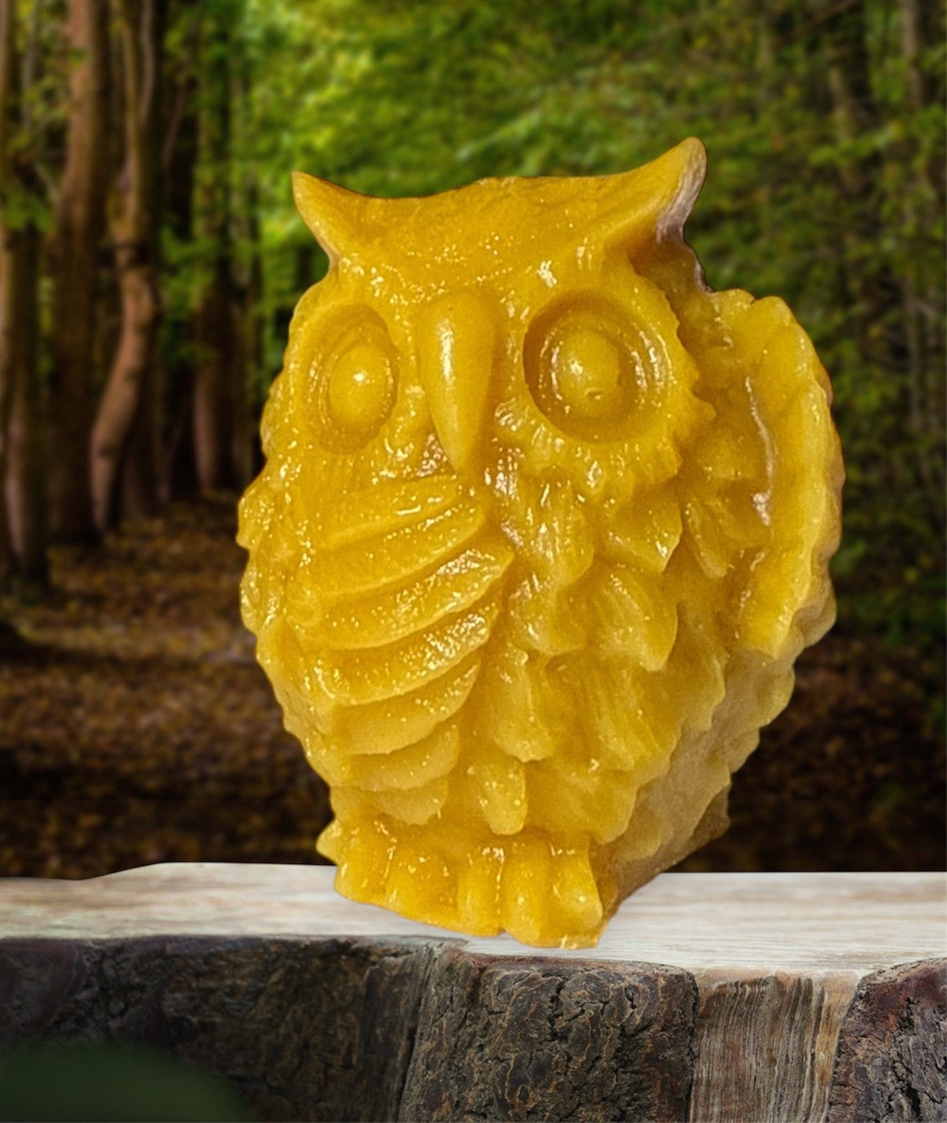 Screech Owl