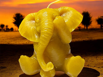 Elephant See No Evil