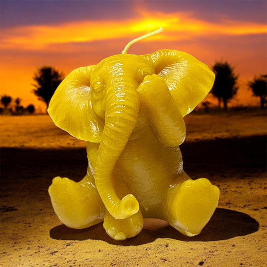 Elephant See No Evil