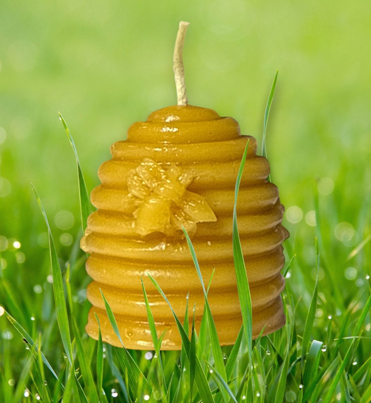 Bee hive