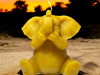 Elephant Speak No Evil