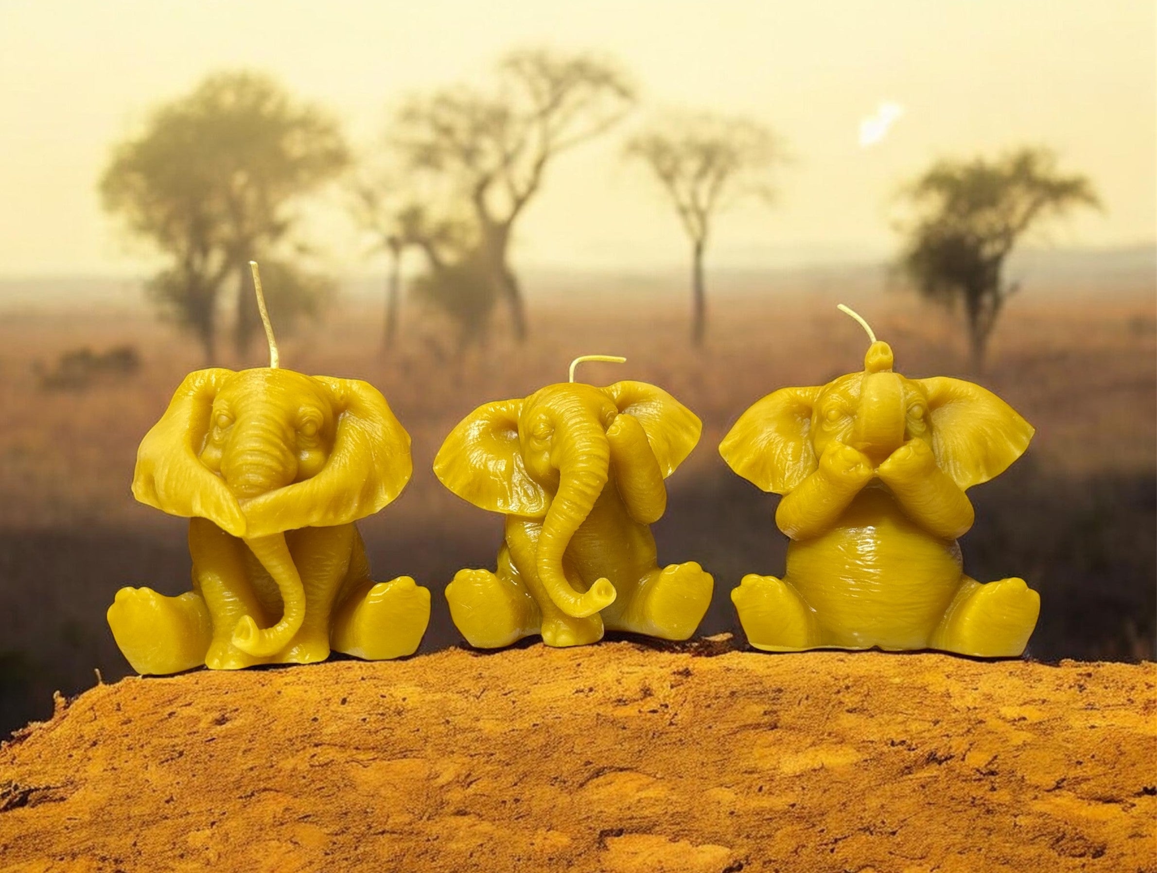 Elephant Set of 3 – SpringHill Farm
