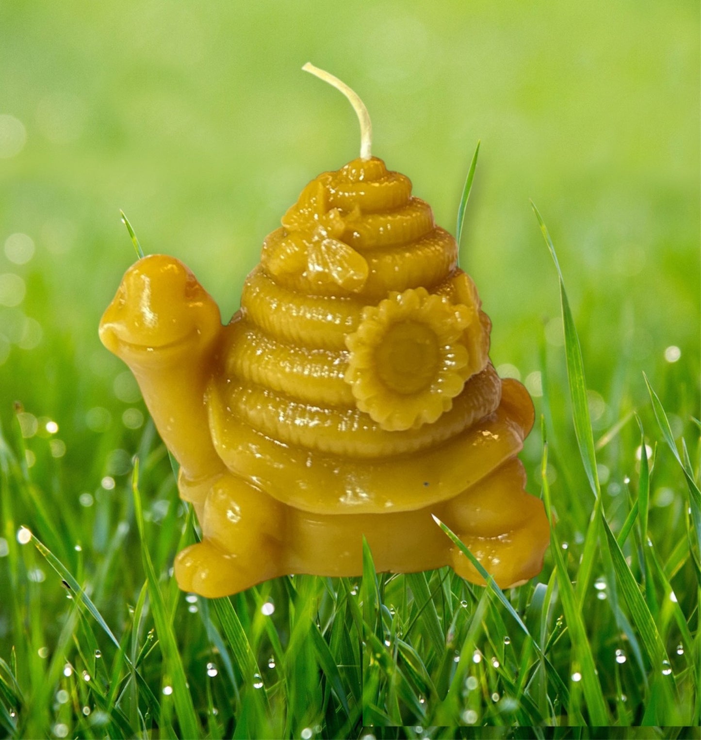 Turtle With Beehive