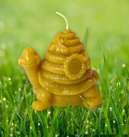 Turtle With Beehive
