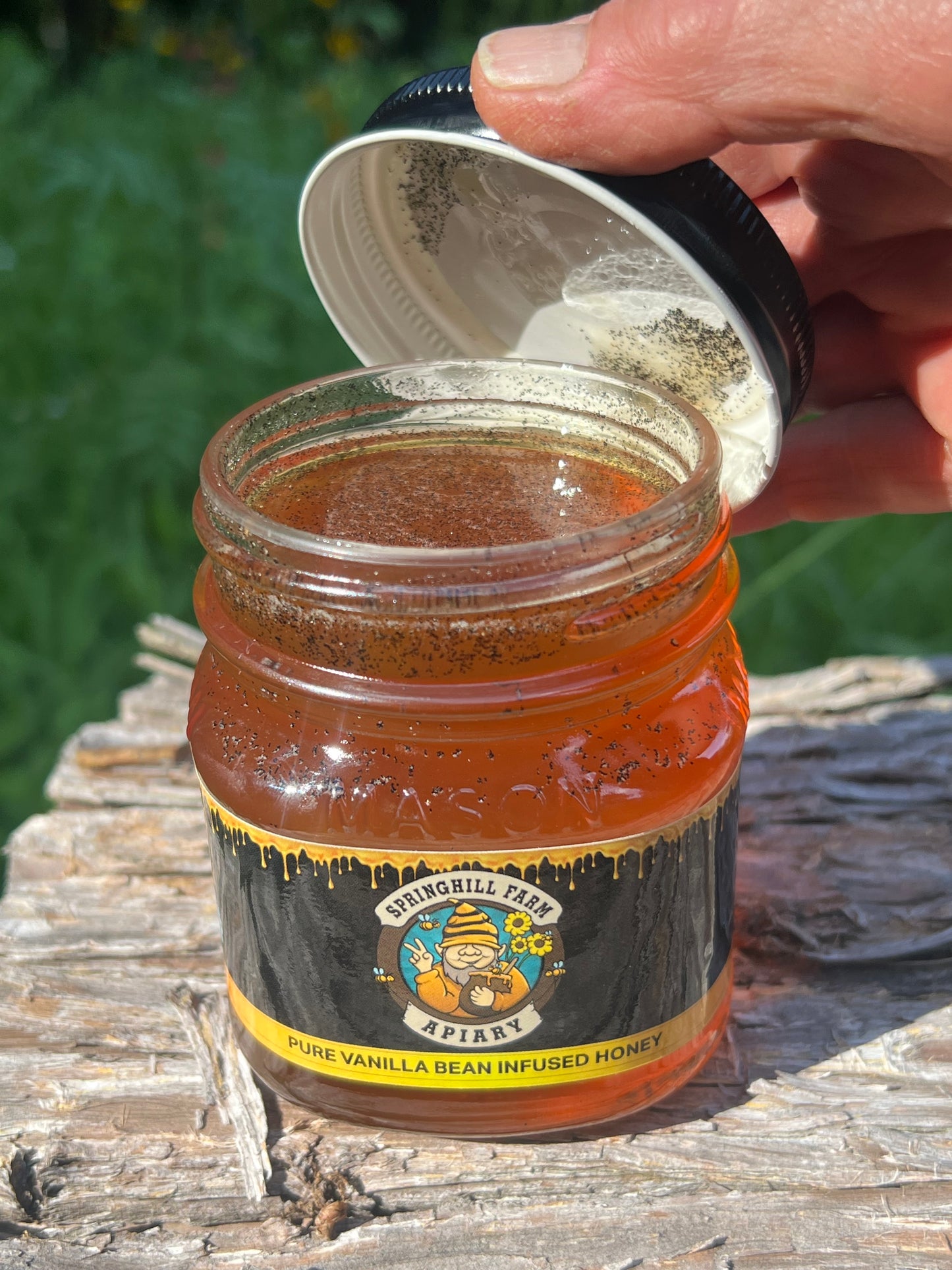 Honey Natural Madagascar Bourbon Vanilla Bean Infused Honey (Approxamently 14 Oz)