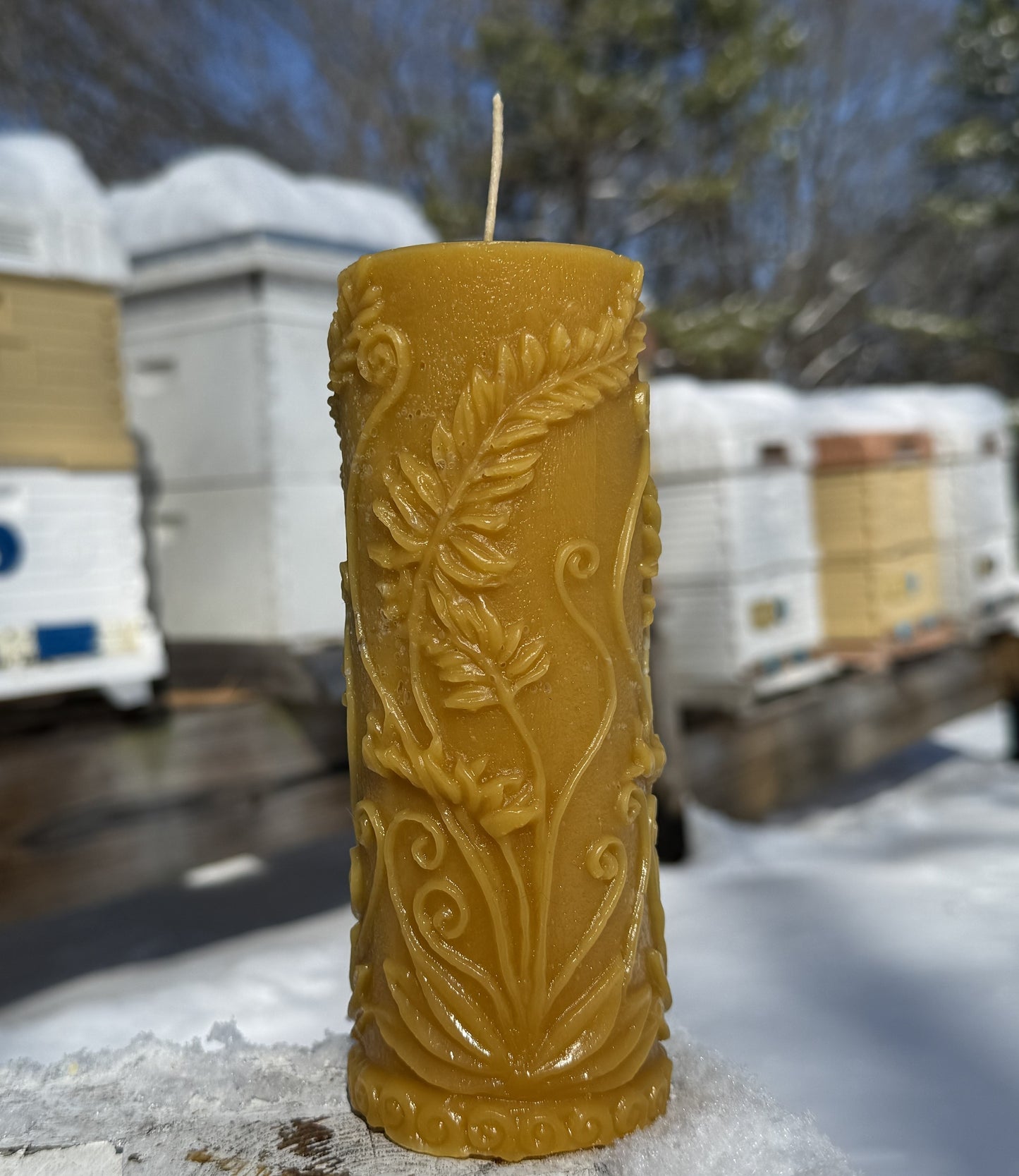 Vine Pillar