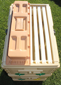 7 Frame NUC Bee Hive Set