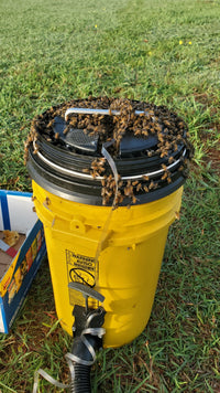 Bee Vacuum - Basic Model: Gen 2.5 Everything Bee Vacuum