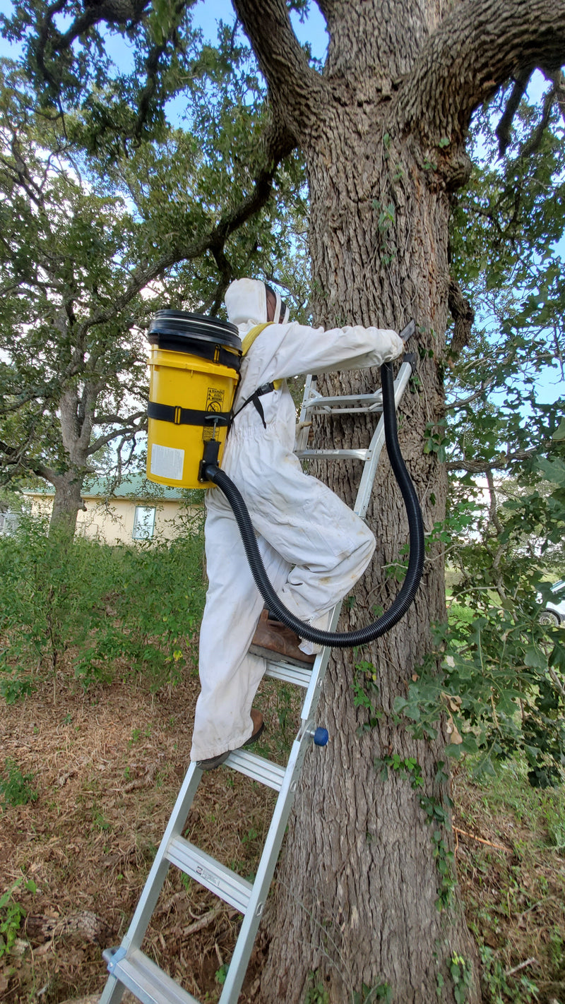 Bee Vacuum - The Professional Model "Everything Bee Vacuum"